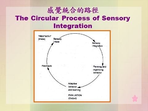 兒童感覺統合課程