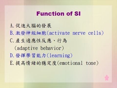 兒童感覺統合課程